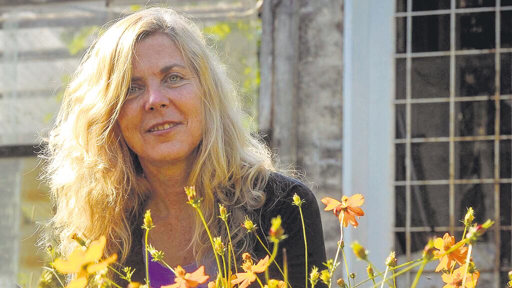 Amy Austin es doctora en Ciencias Biológicas por la Universidad de Stanford.