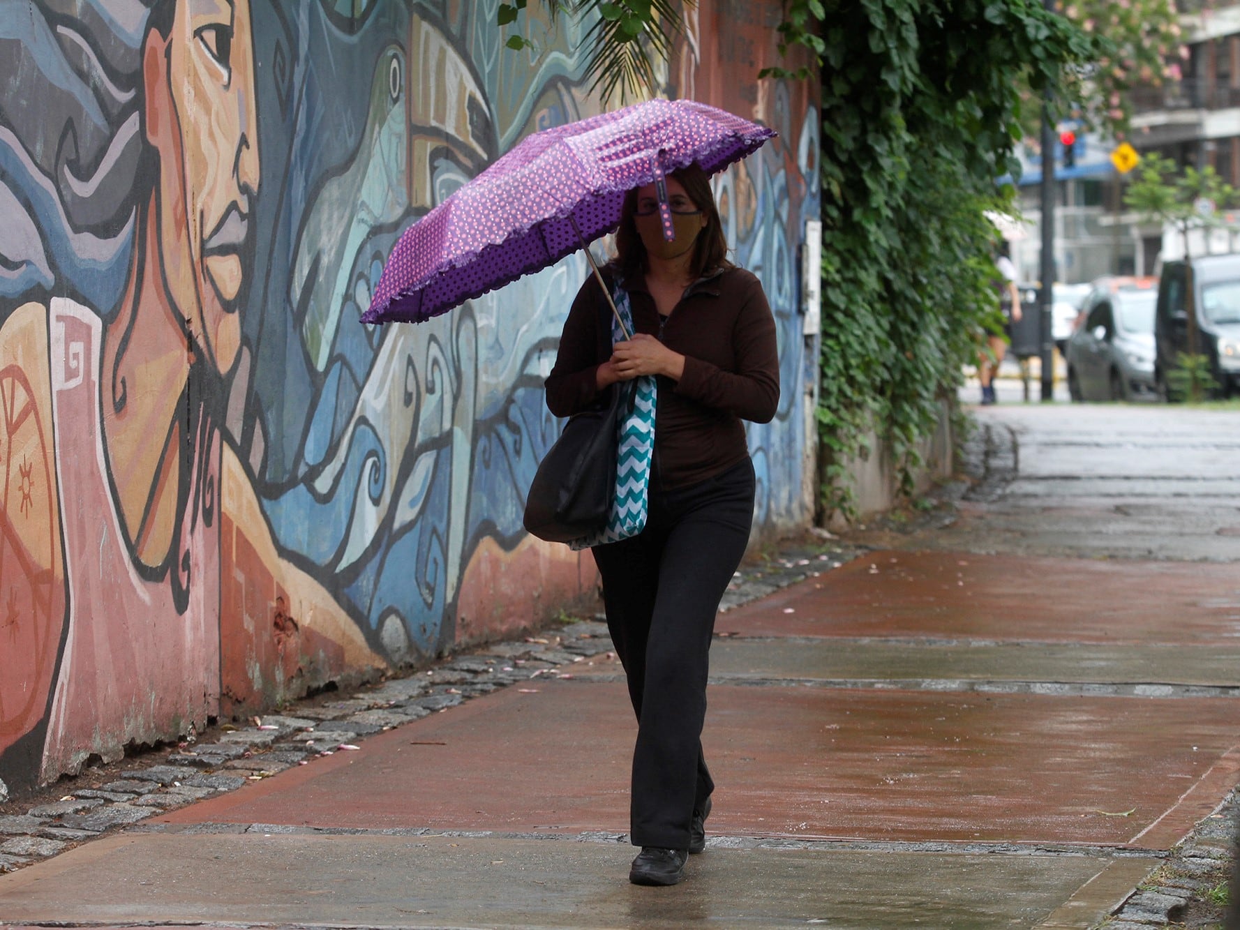 La humedad se ubica en el 67%. 