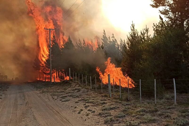 El parte oficial de la situación se difundió luego de la habitual reunión del Comité de Operaciones que desde hace dos semanas trabaja para ponerle fin al incendio que comenzó por un asado mal apagado.