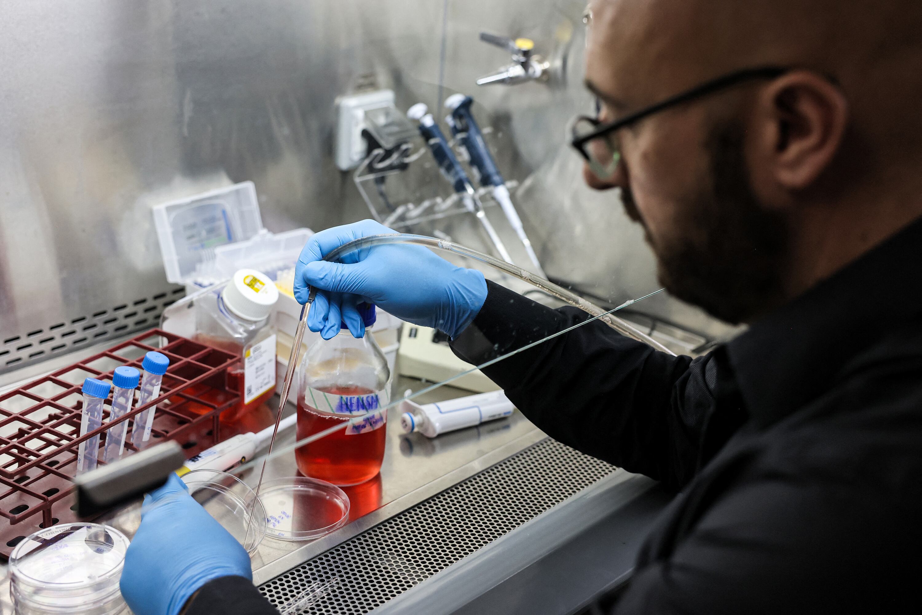 Jacob Hanna, especialista en genética molecular en el Instituto Científico Weizmann.