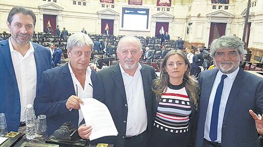 La diputada Vanesa Siley junto a los legisladores que la acompañaron en la presentación en el Congreso.