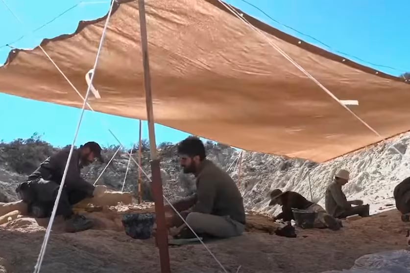 Científicos del Conicet que participan del streaming en busca de fósiles de dinosaurios en la Patagonia