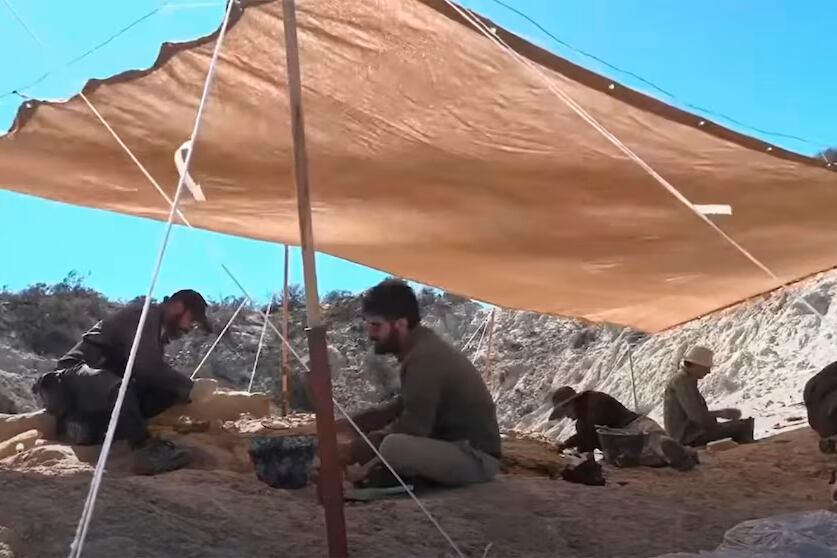 Científicos del Conicet que participan del streaming en busca de fósiles de dinosaurios en la Patagonia