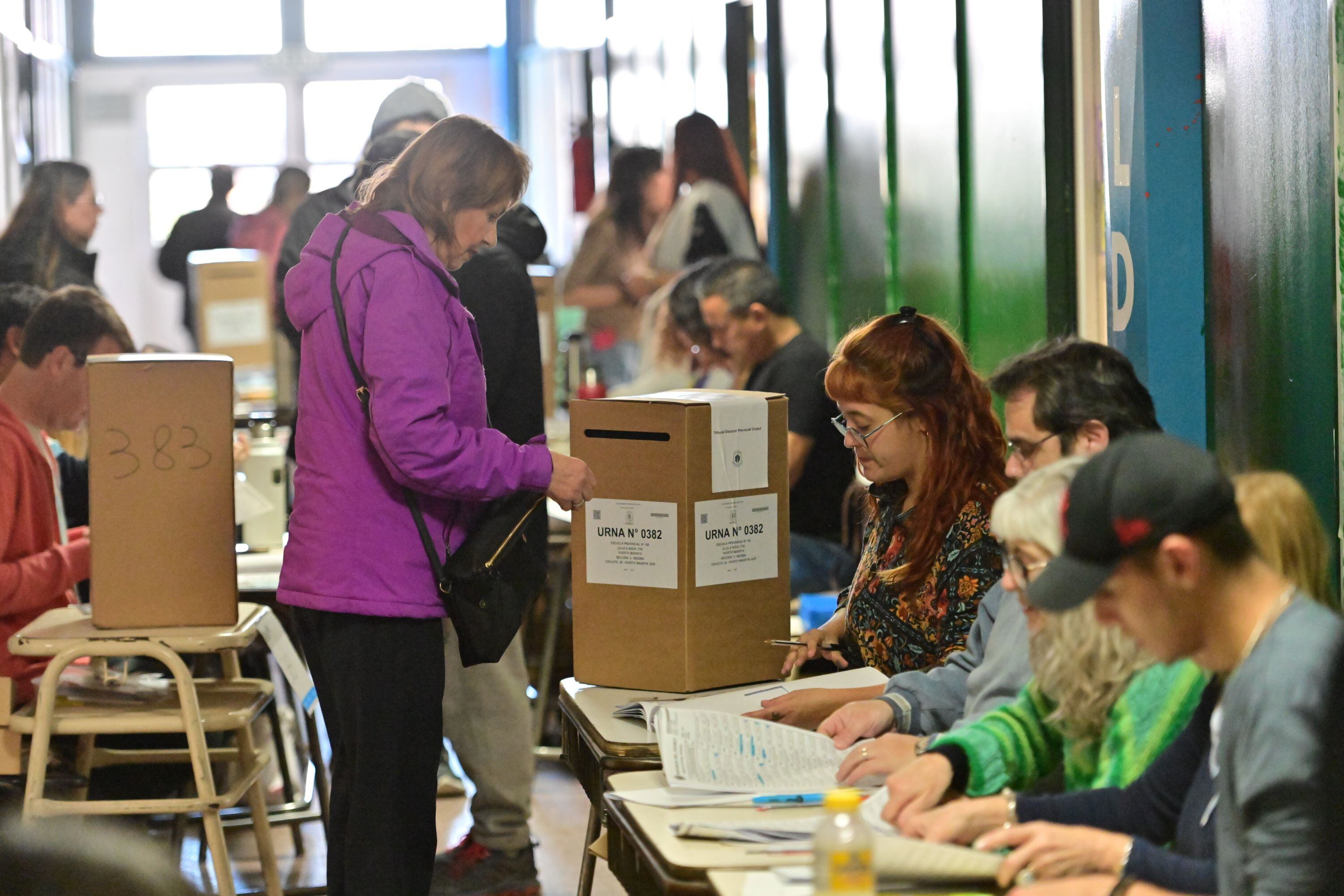 PASO 2023: Cuál es la mejor hora para ir a votar en las elecciones 2023 ...