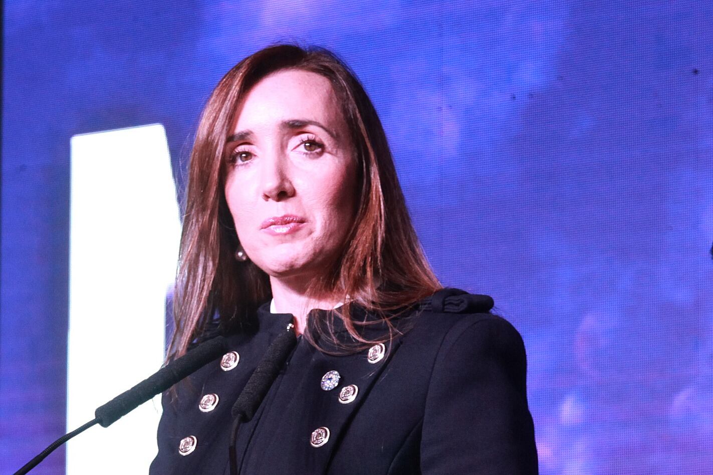 Victoria Villarruel, la candidata que confunde banderas