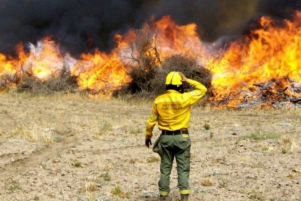 Brigadista en acción
