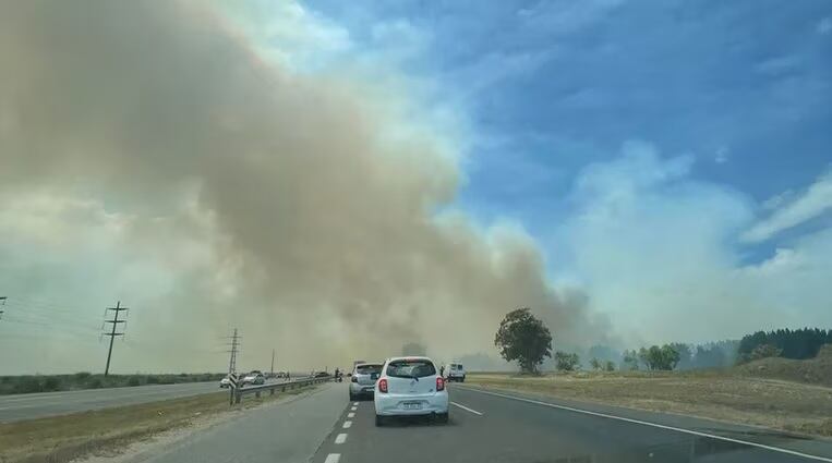 La ruta 11, a la altura de Villa Gesell, se vio con la visibilidad reducida por el humo causado por el incendio que se desató en el bosque de pinos. (Foto: Twitter)