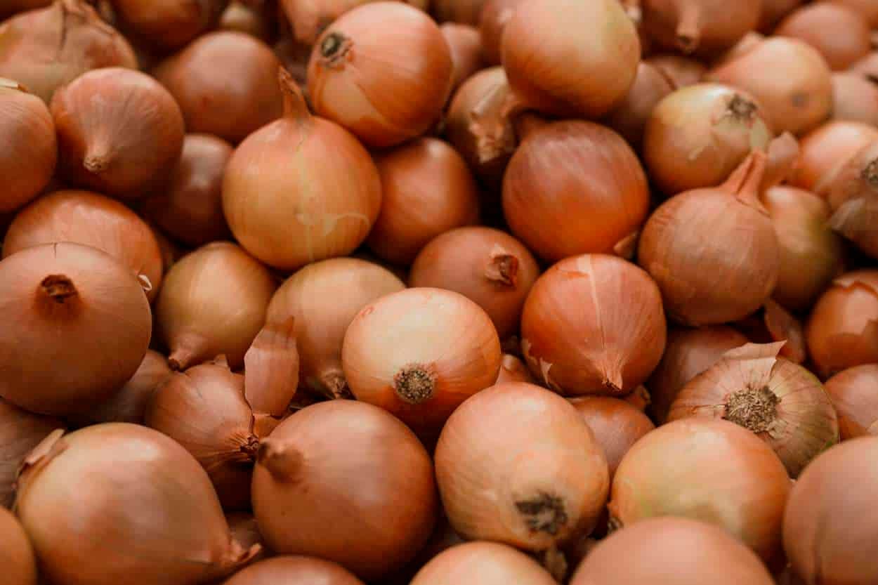 La mayor parte de la oferta de cebolla proviene del sur de Buenos Aires, Villarino y Valle inferior de Río Negro.