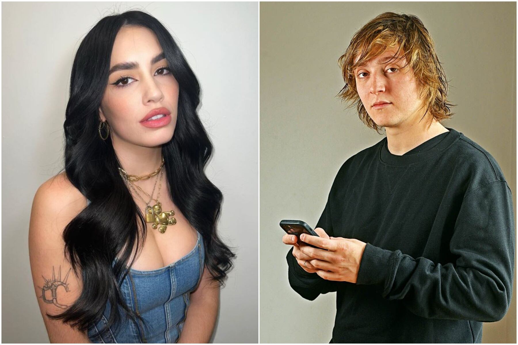 El generador de contenido para redes acusó a la artista de cobrar dinero del Estado. 