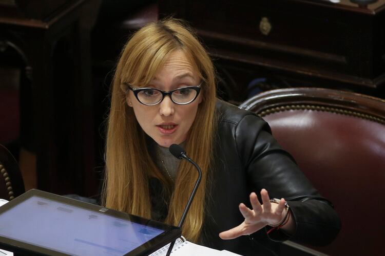 Anabel Fernández Sagasti, senadora oficialista por Mendoza.