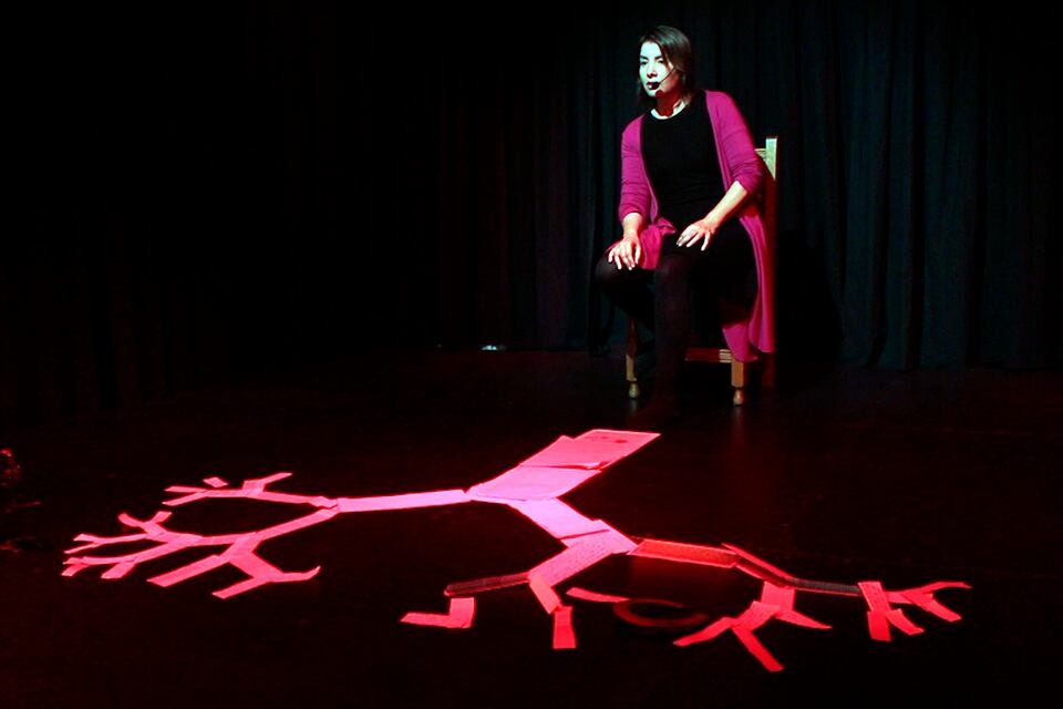 María Buenadicha Gómez trabajó la historia con narradoras y narradores argentinos.