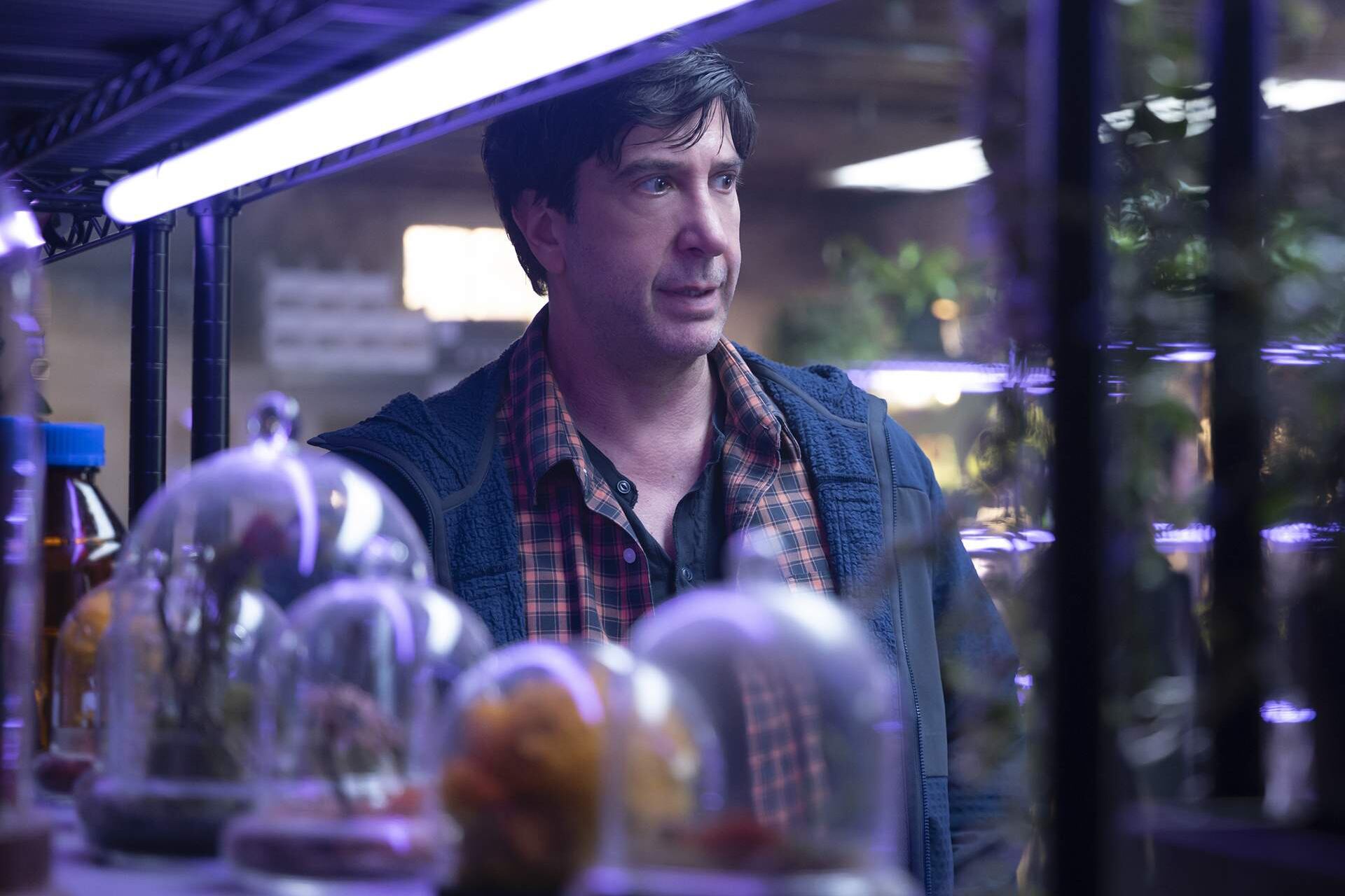 David Schimmer está al frente de la propuesta basada en una exitosa saga literaria.