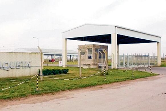 Paquetá produce zapatillas para la multinacional Adidas.