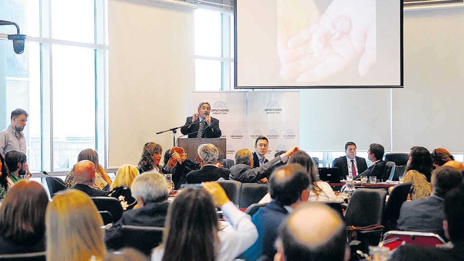 De la campaña que apoya el aborto no se encontraron afirmaciones falsas.