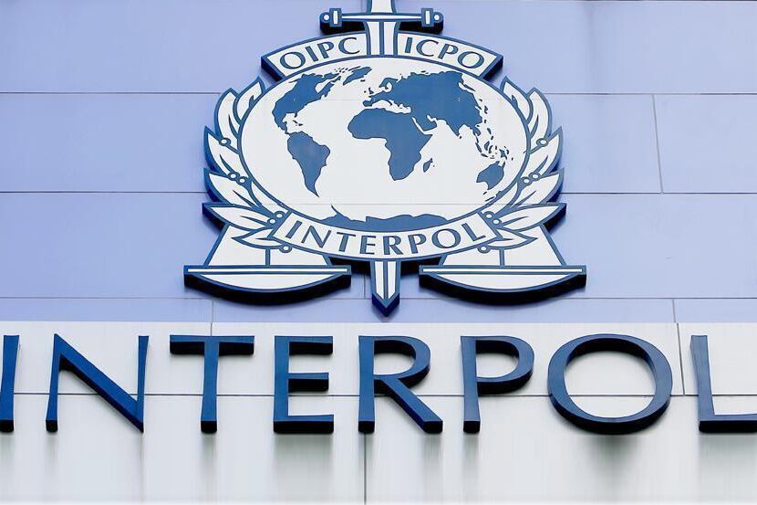 Interpol emitió una alerta amarilla para activar la búsqueda internacional de Guadalupe Lucero Cialone.