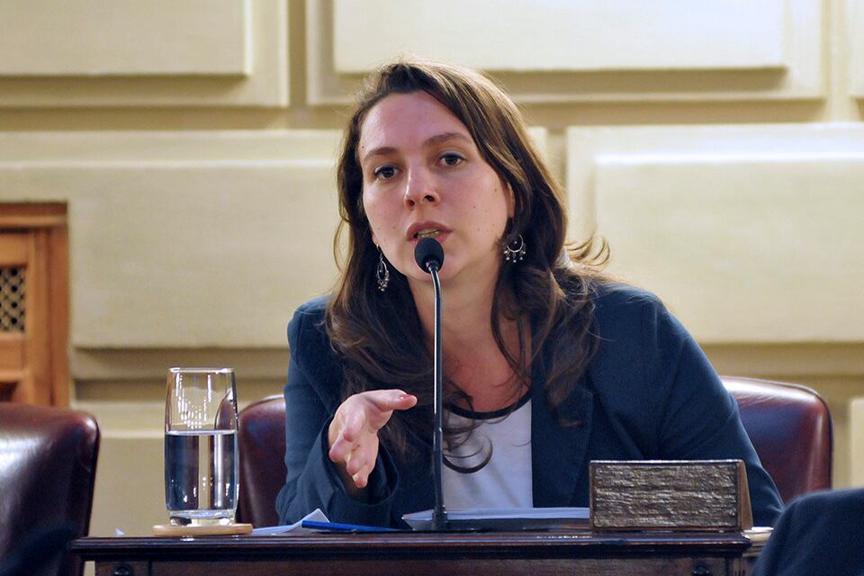 Mercedes Meier: "El 7 por ciento de los dueños tiene el 42% de la tierra".