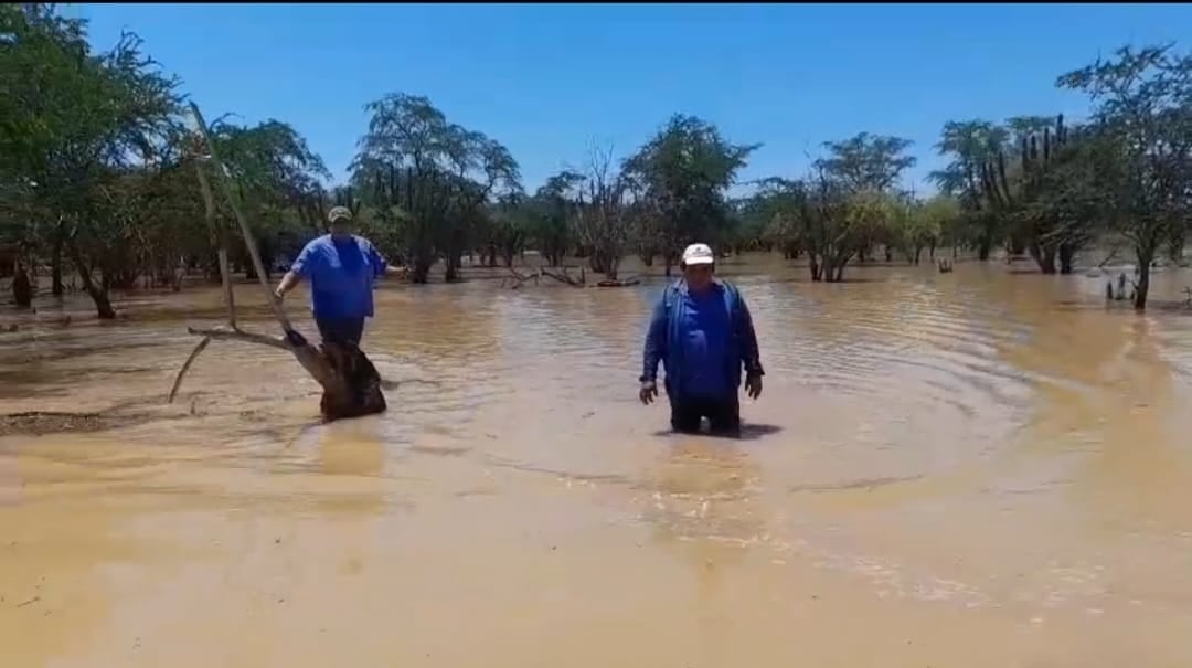 Llegó a lugares donde antes no.