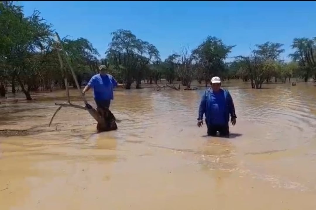 Llegó a lugares donde antes no.