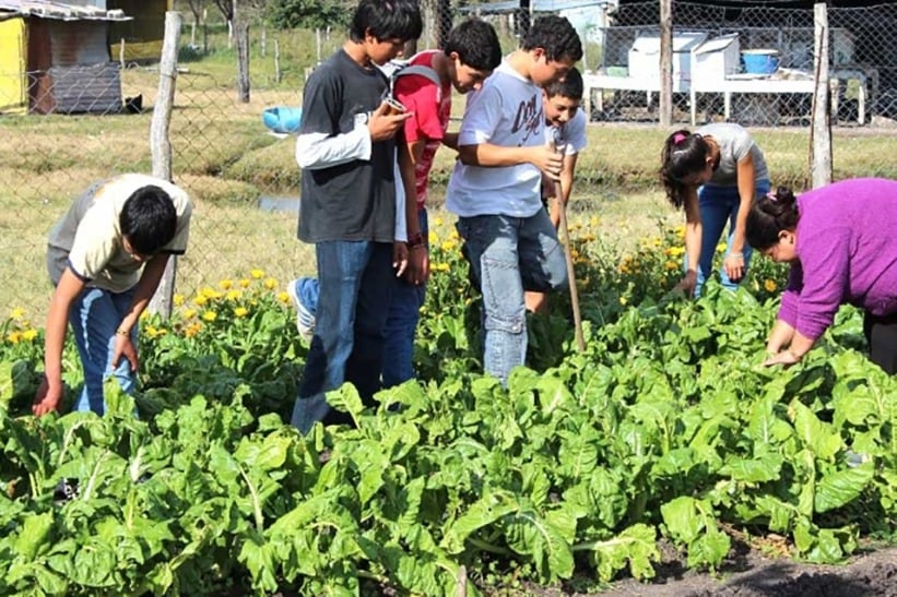 Las huertas comunitarias de ProHuerta son esenciales para familias y organizaciones sociales de todo el país.