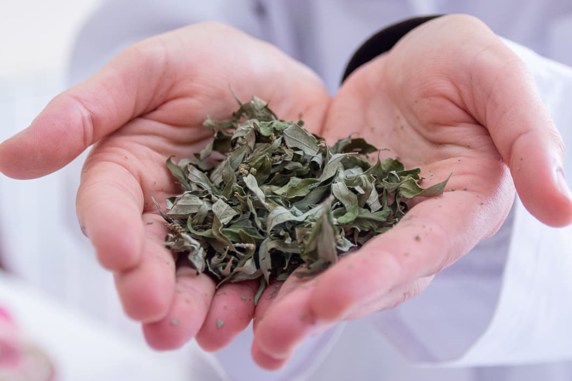 Los aceites esenciales son biodegradables y las dosis utilizadas no dañan el suelo.