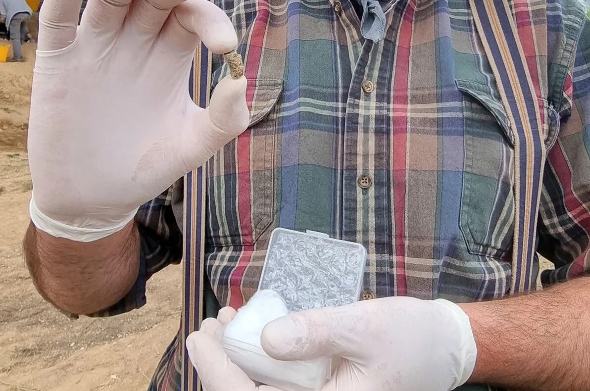 Arqueólogos encontraron en Georgia un diente de 1,8 millones de años perteneciente a una especie humana primitiva. Imagen: Centro Nacional de Investigación de Arqueología y Prehistoria de Georgia. 