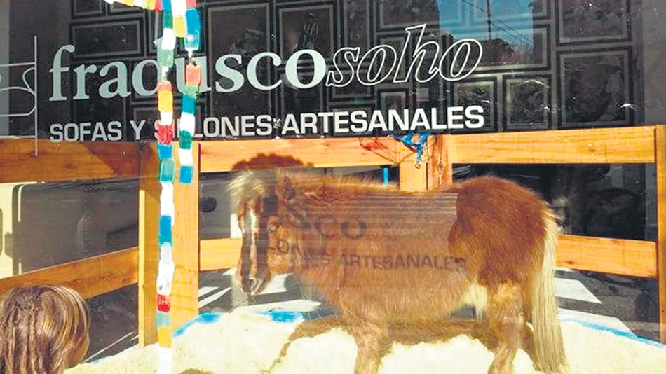 Tuco estaba expuesto en la mueblería Fradusco, en Serrano y Niceto Vega.