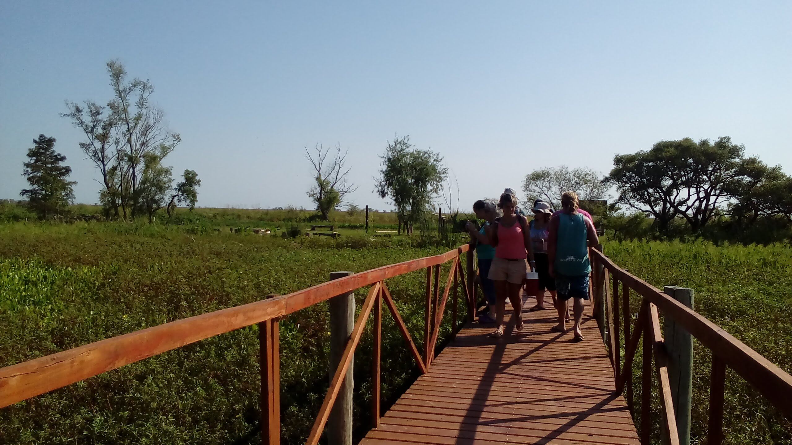 La amplia zona de islas donadas por Deliot y usurpadas hace años.