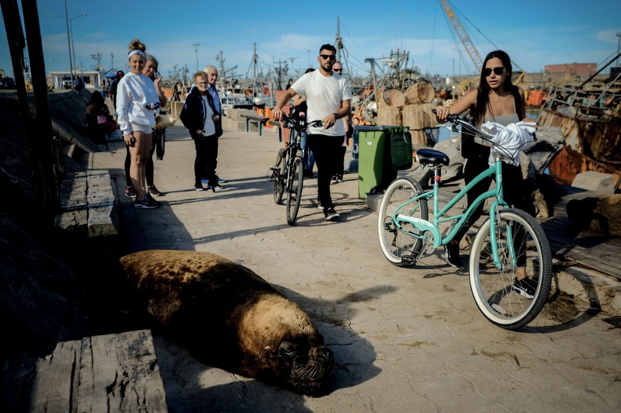 Mar del Plata fue uno de los destinos más elegidos.
