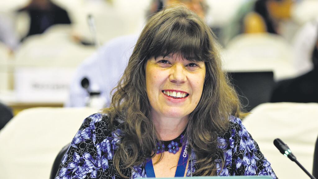 Silvia Ribeiro participó de un encuentro en Rosario.