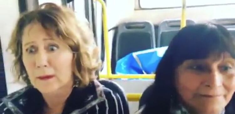 La actriz personificó a una propietaria de Nordelta en el video que subió.