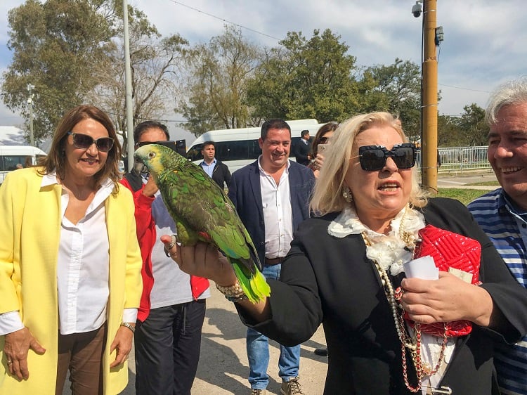 Elica Carrió busca reforzar al núcleo duro de Cambiemos con sus declaraciones.