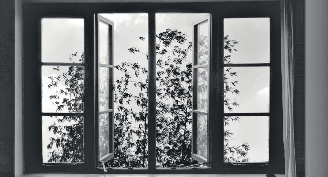 24 Frames, del iraní Abbas Kiarostami, es la película elegida para abrir la nueva edición del Fidba.