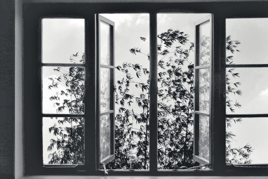 24 Frames, del iraní Abbas Kiarostami, es la película elegida para abrir la nueva edición del Fidba.