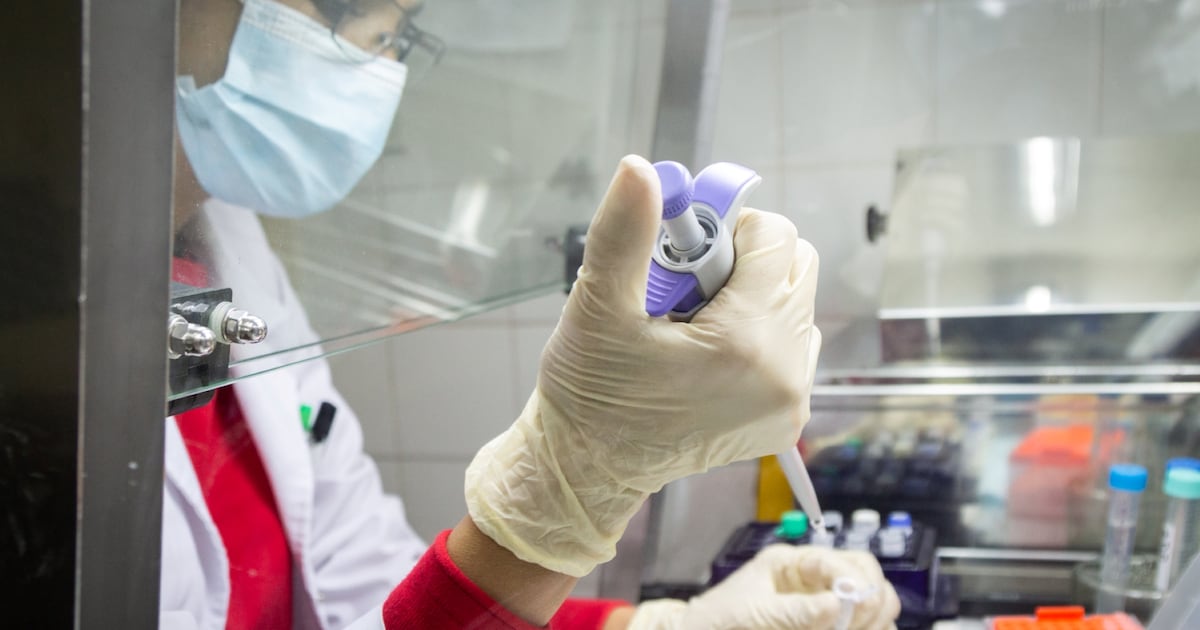 H3N2 Flu in Argentina: New K Subclade Arrives – Archyde