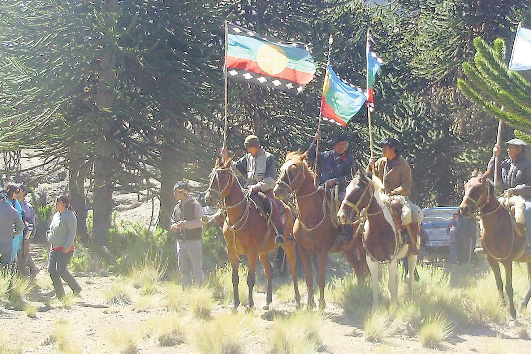 “Día nacional mapuche, sacá tu bandera”, es el lema de la convocatoria de hoy.