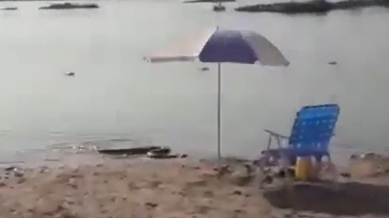 La imagen de la anaconda amarilla en
