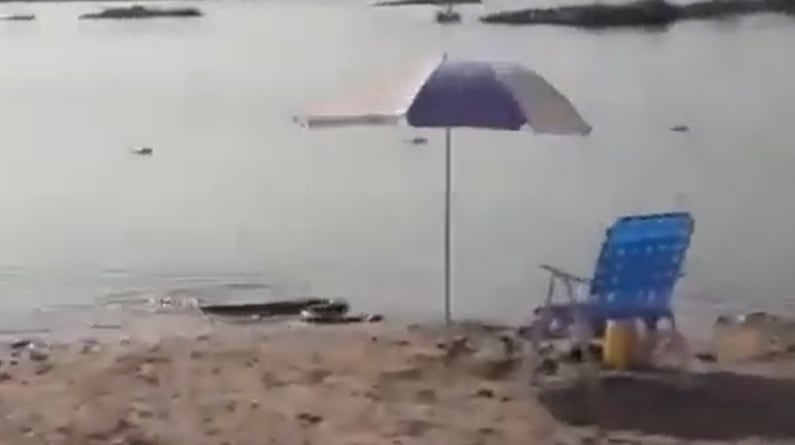 La imagen de la anaconda amarilla en