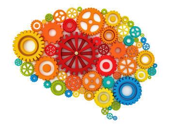 El cerebro humano está considerado el objeto conocido más complejo del universo.