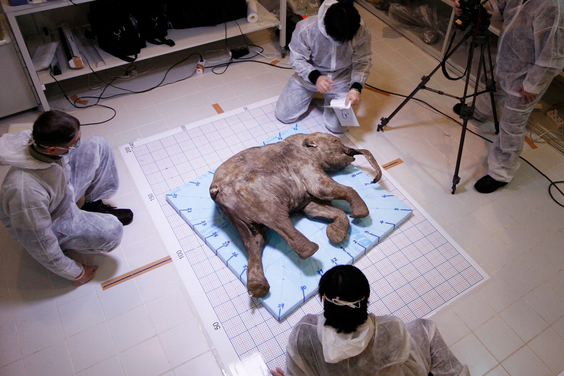 “Yana” fue presentada al público este lunes en la Universidad Federal del Noroeste de Yakutsk (Rusia).
