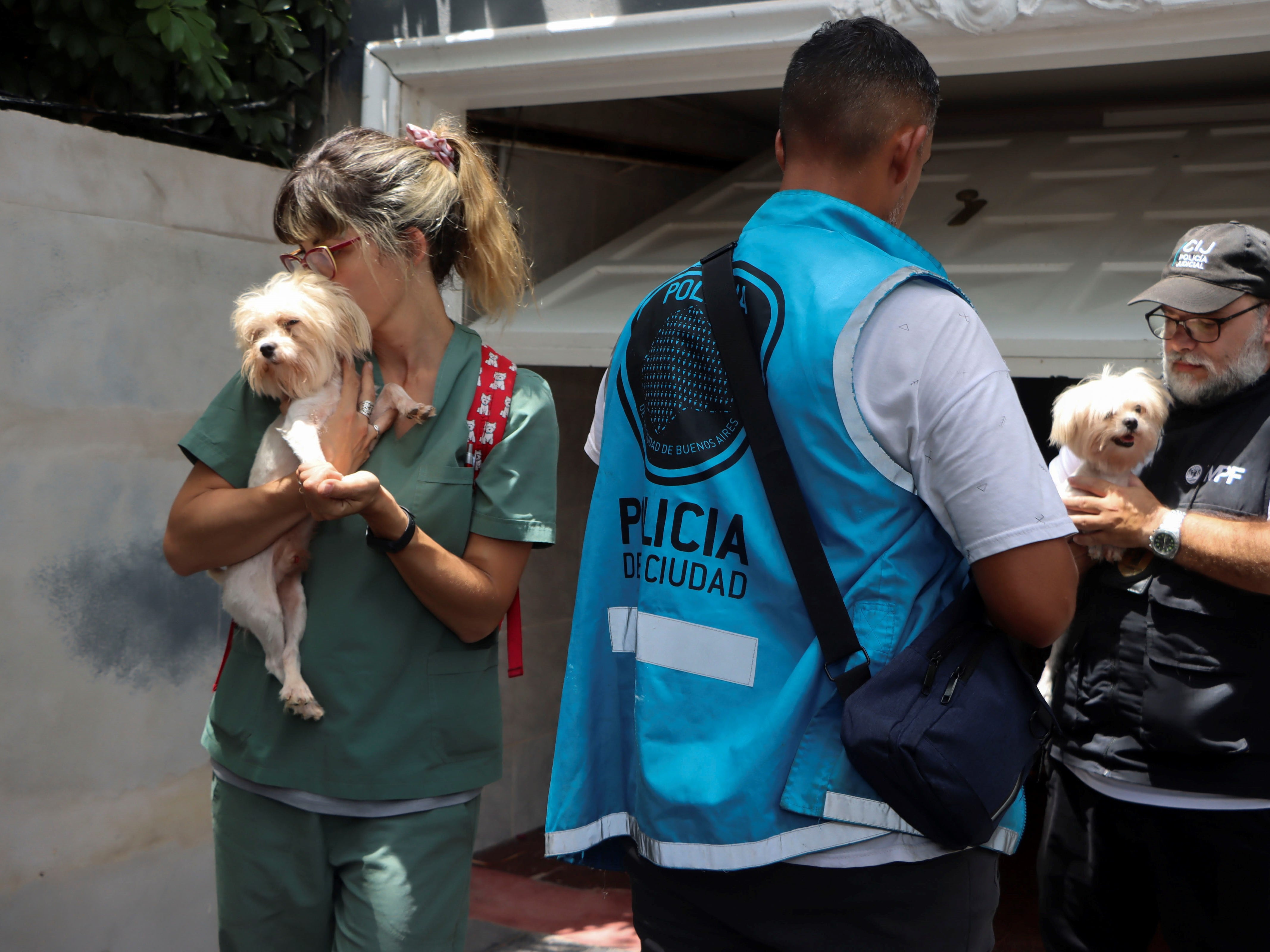 En el lugar se encontraron 17 canes: cuatro hembras pomerania, una hembra chihuahua, y tres machos y nueve hembras maltés. (Foto: Télam)