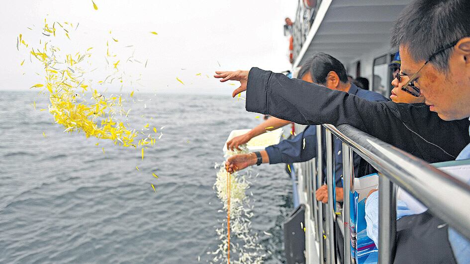 La viuda de Liu Xiabo (der.) tira pétalos de flores al mar durante la ceremonia.