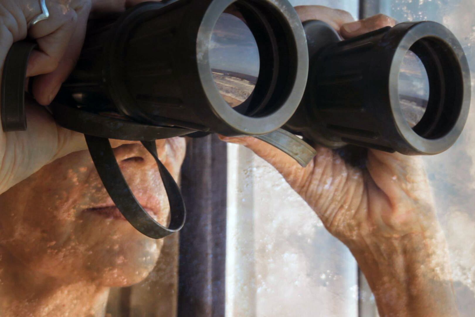 Cuentos de chacales pudo verse por primera vez en la edición 2017 del Festival de Mar del Plata.