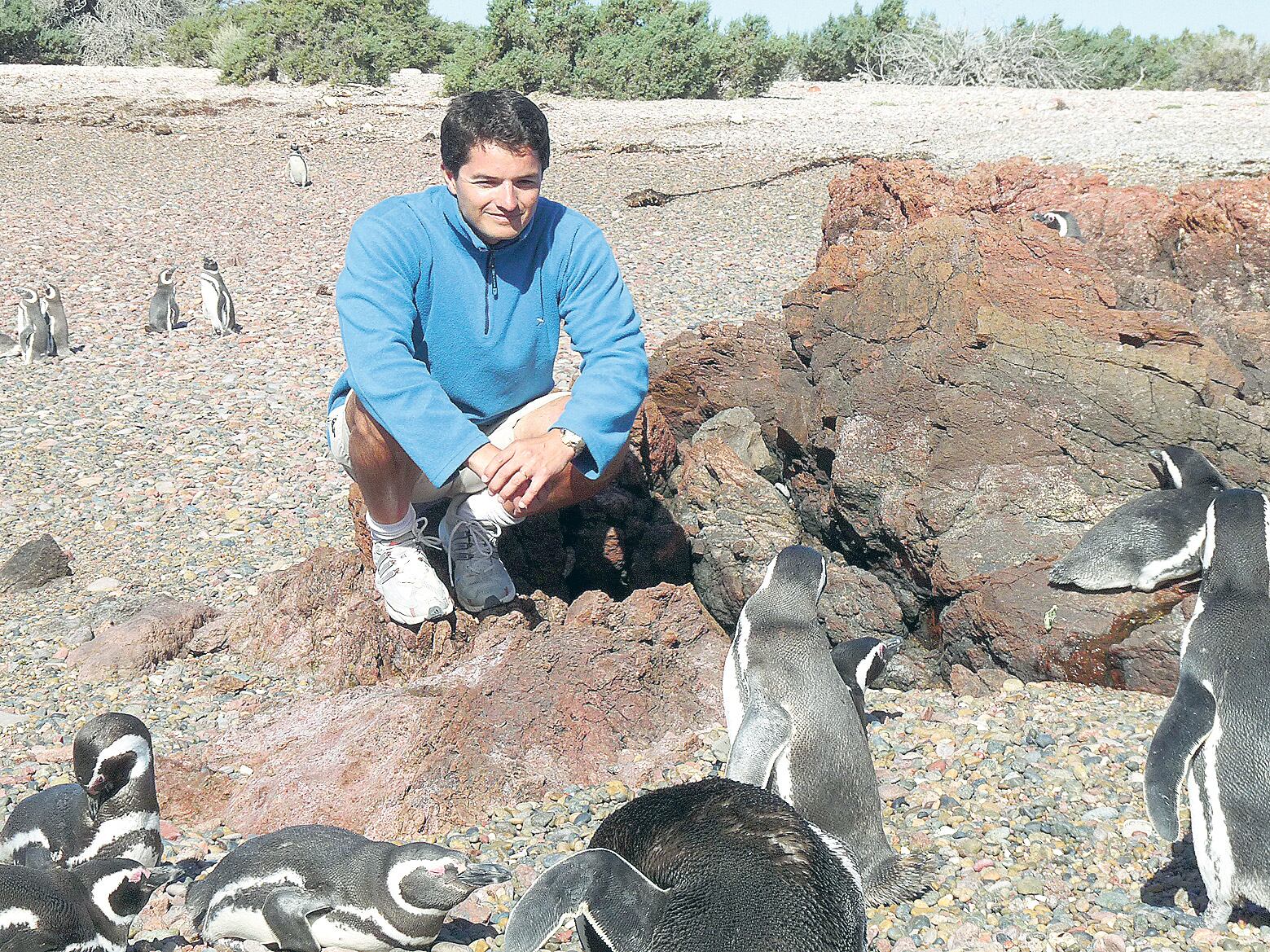 El biólogo Pablo Borboroglú entre los pingüinos de Punta Tombo. 