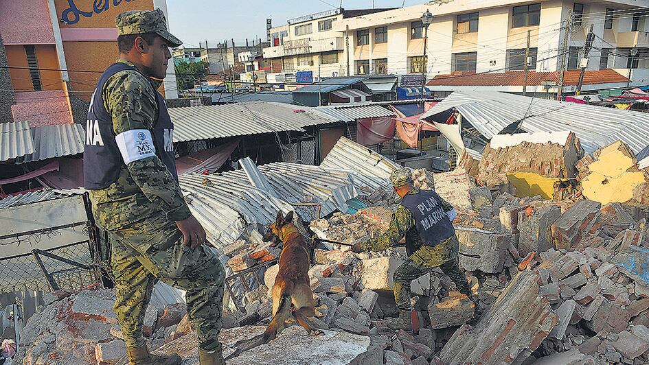Rescatistas con perros buscan sobrevivientes entre los escombros.