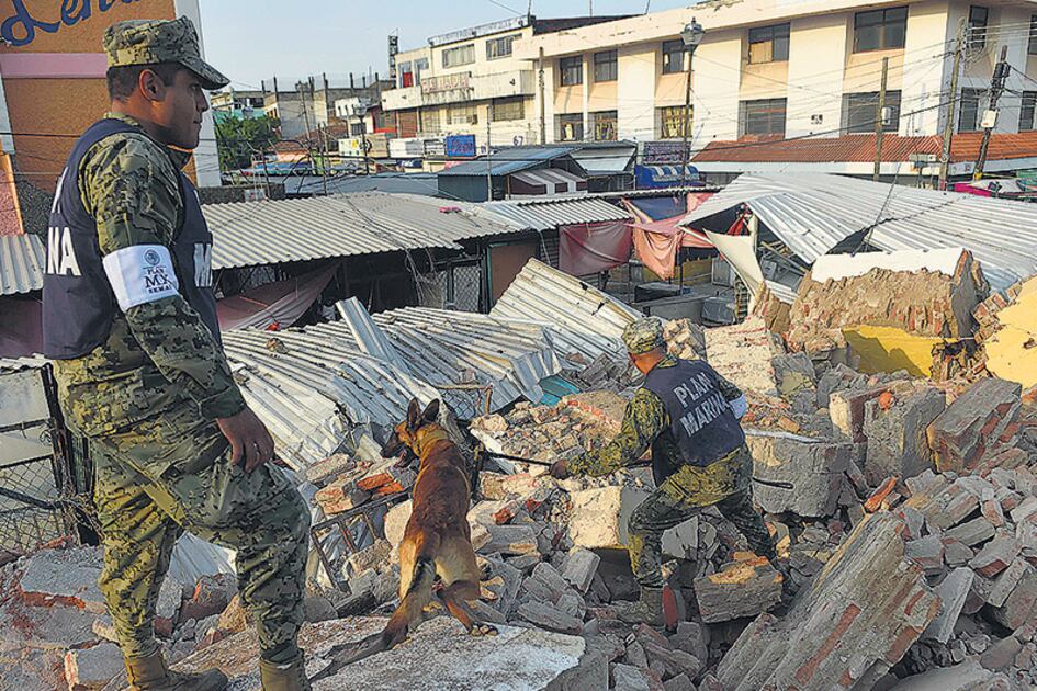 Rescatistas con perros buscan sobrevivientes entre los escombros.