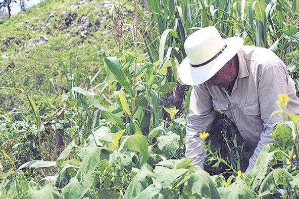 La declaración de la ONU avanza sobre la concentración de tierras en pocas manos.