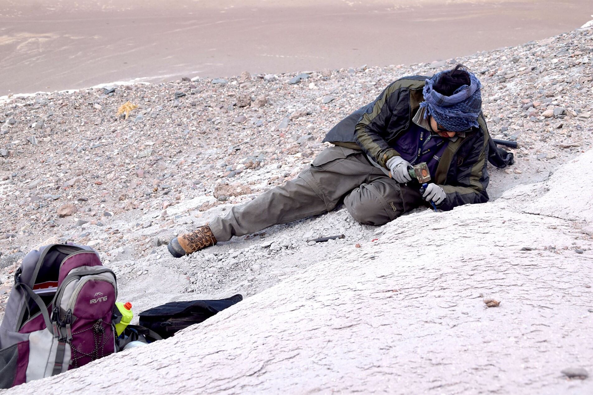Descubren en la puna de Catamarca una especie inédita de mamífero prehistórico. Foto: gentileza Matías Armella (INSUGEO).
