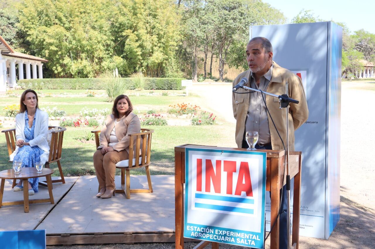 Patrón Costas, Vega y Echenique.