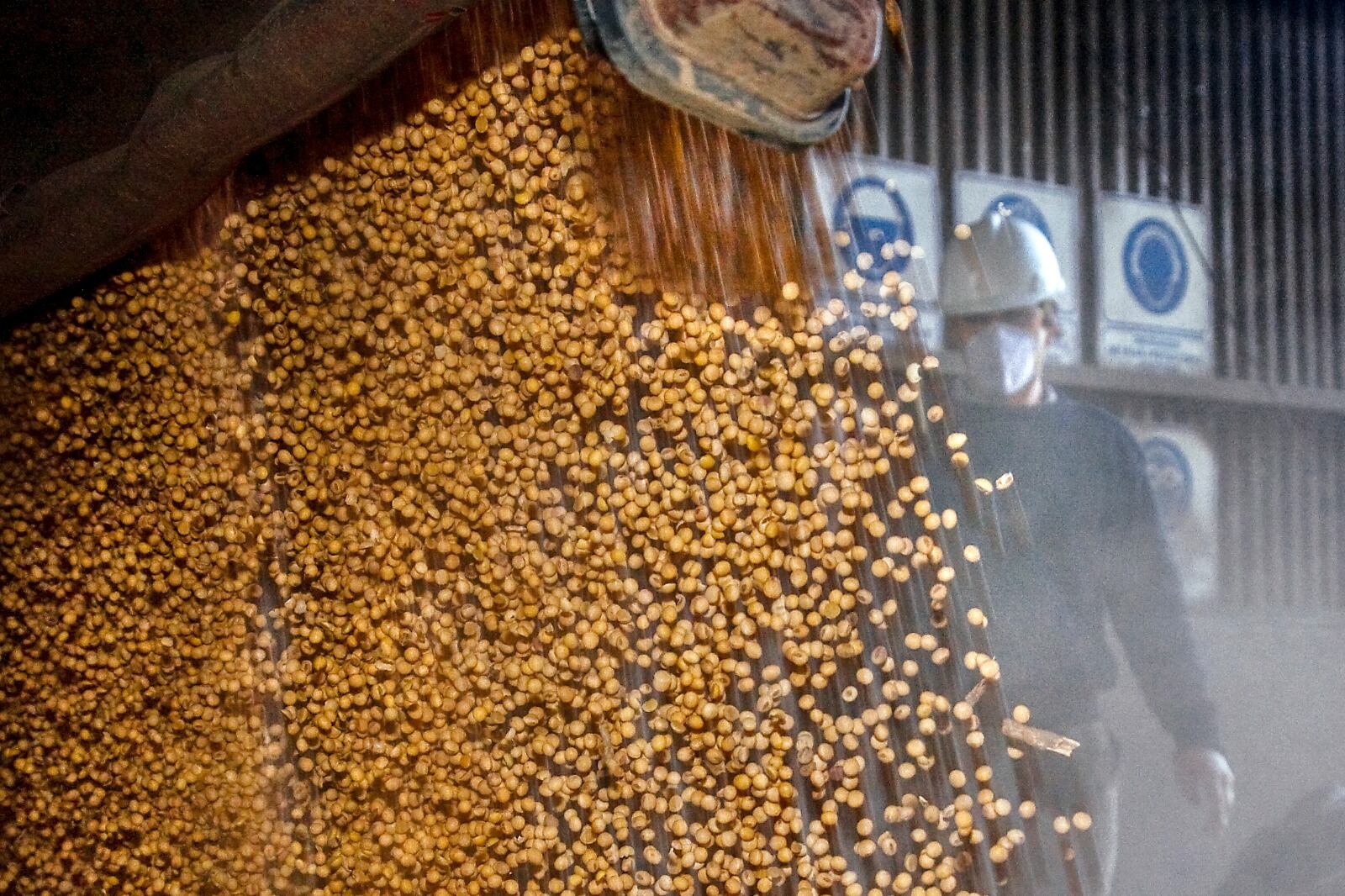 La mayoría de los precios de granos y subproductos cayeron entre 23 y 28 por ciento interanual.