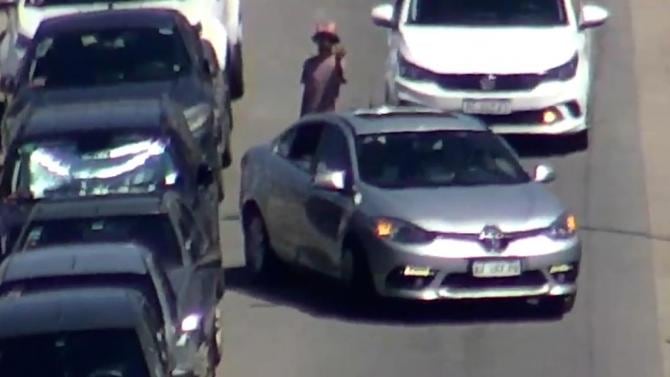 (Foto: Municipalidad de General Pueyrredon)